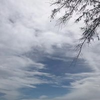 白云轻轻688