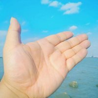 常熟一剑封喉