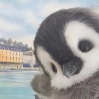 別來無恙r