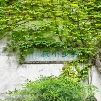 春風十裡