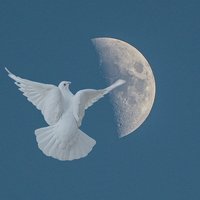 摄影师_洪社1398