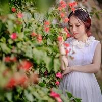 ido影视