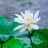 未来以来将至已至