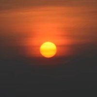 陌渡