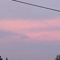 屑屑爱拍照