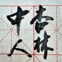 杏林中人wh