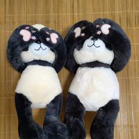 施仙