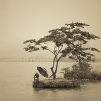 江苏老李