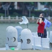 皖一叶知秋