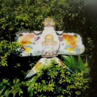 恰意粉