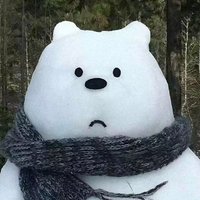 成臣