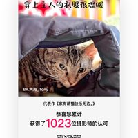 大海_Tony
