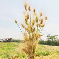 视野良好