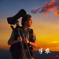 半农_沪