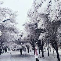 陈阿蕴