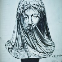 形色煮义