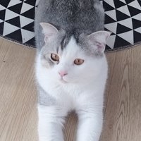 圣闰