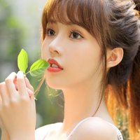 早晨的太阳338