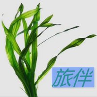 亢品香茅草马老师