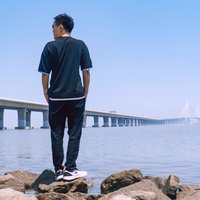 孤云独去闲y