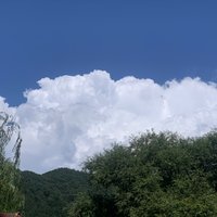 不再更新了