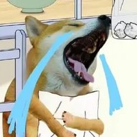 猫猫的茂