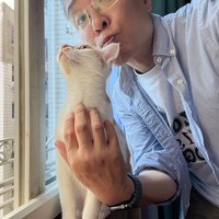 依旧简单