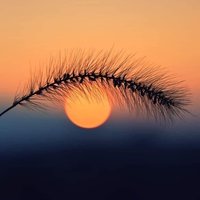 翰海游子