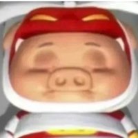 开496941
