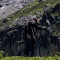 我要吃西红柿