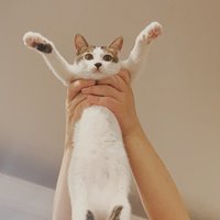 Luna酱_