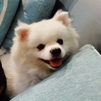 海纳百川3