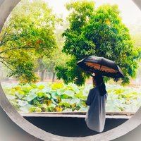不会摄影的蝈蝈