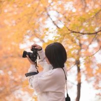 一毛八