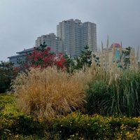 宿水听潮