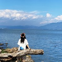 麦莎