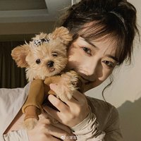 歪话LIUlYY