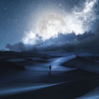 SEEKER丨尘悦