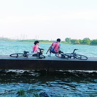 风轻_云淡