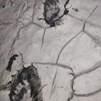 觉飞