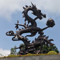 青青岛主