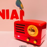 理想革命