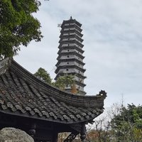 夏日清凉