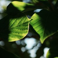 时光捕手_my