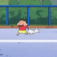 无尾树袋熊