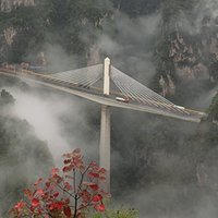 遂缘影像