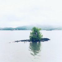 一蓑烟雨待平生