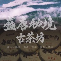 濮茶如是