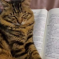 原子媛