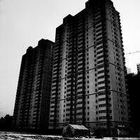 谢大